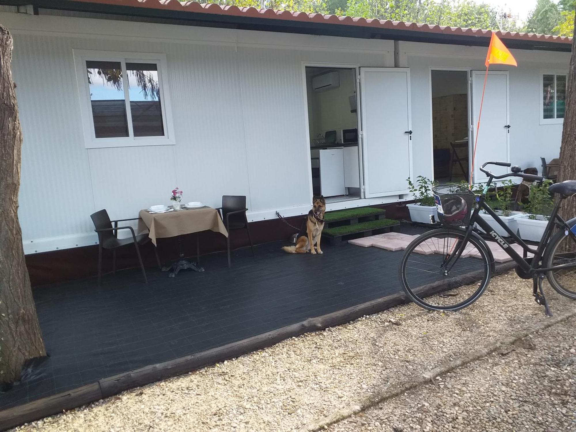 Camping Las Catalinas Ríolobos Eksteriør billede
