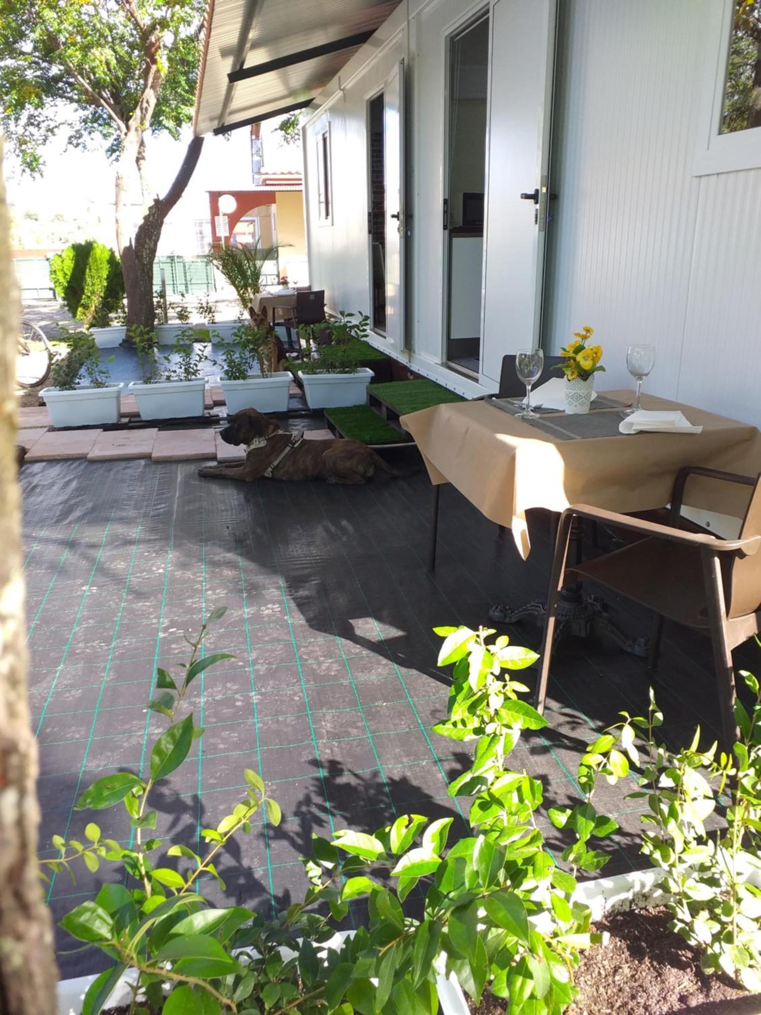 Camping Las Catalinas Ríolobos Eksteriør billede